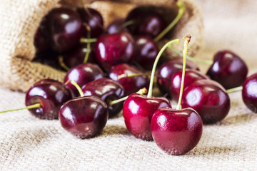 Cherries on the sackcloth