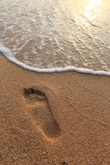 footprints in the sand