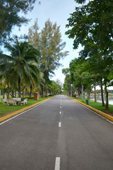 Fototapeta na wymiar road in green park, thailand