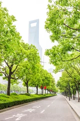 Fotobehang Trees decorated road in modern city © zhu difeng
