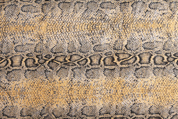 tissue under skin of a snake