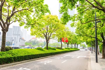Tuinposter Trees decorated road in modern city © zhu difeng