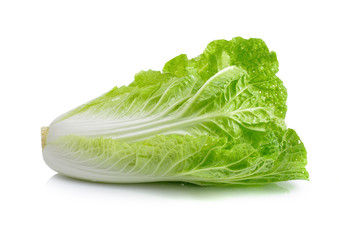 fresh chinese cabbage on a white background