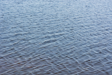 Ripples on the water.