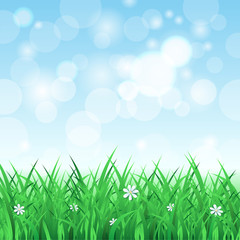 Fototapeta na wymiar Spring landscape with grass and sky