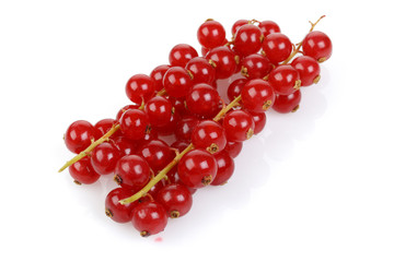 Red Currant
