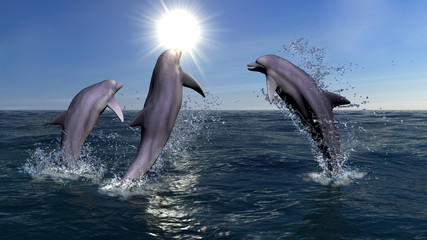 Three dolphins
