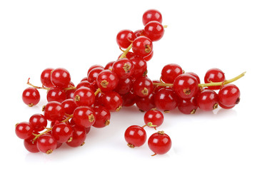 Red Currant