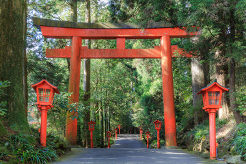 Torri Gates at Hakone temple, Japan - 79956411