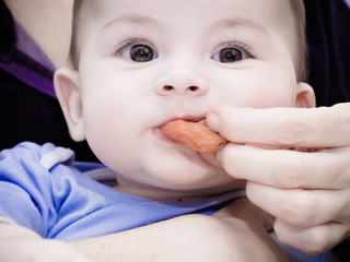 Little caucasian baby boy eating dried apricot