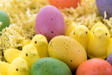 colored Easter eggs and yellow marsshmallow chicks