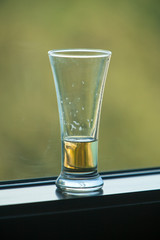Glass of Beer