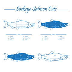 Sockeye salmon cuts diagram