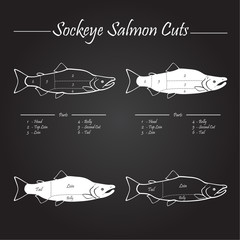 Sockeye salmon cuts diagram