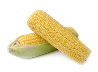 Ears of corn isolated on a white background