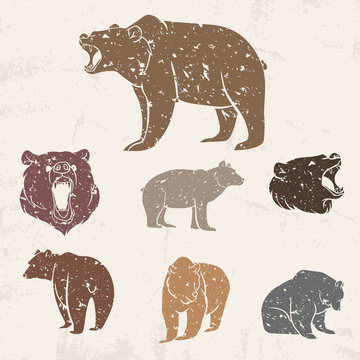 Set of different bears