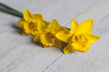 Fototapeta na wymiar Yellow narcissus flowers on wooden background