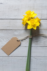 Yellow narcissus flowers and blank card on wooden background