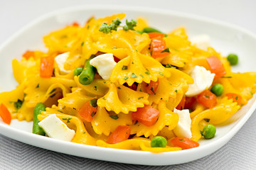 Italian pasta with mozzarella cheese