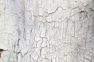 Grunge old wood texture ideal for background or texture effects