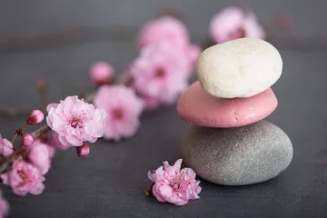 Abwaschbare Fototapete Zen-Blumen © Toanet