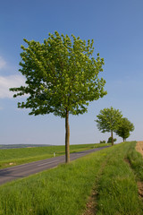 Einsame Straße in Österreich