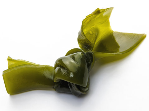 Kelpknoten