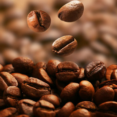 Coffee beans close up