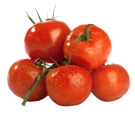 few red fresh wet tomatoes