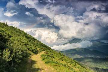 Fototapeta premium Rainbow after the rain in the Ukrainian Carpathians