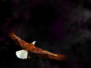 Fototapeta premium Eagle flying in the universe - 3D render