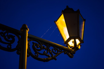 Straßenlaterne mit Spinnweben