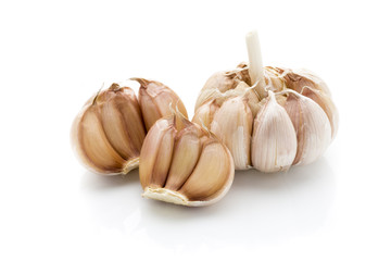 Garlic isolated on the white background.