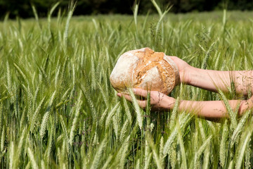 Getreide zu Brot