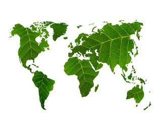 eco world map made of green leaves