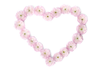 Obraz premium pink flowers in shape of heart on white background
