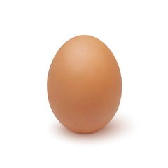 Realistic egg icon, isolated on white background