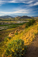 Flowers and view of distant mountains and valleys from Mount Rub