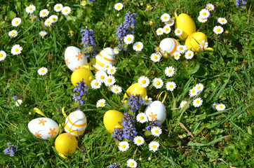 Easter eggs in the grass