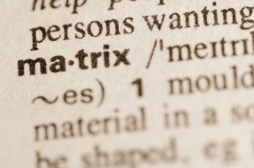 Dictionary definition of word matrix