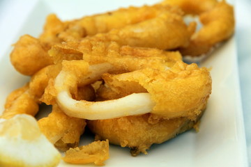 Deep fried calamari rings on plate Spain