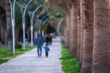 Fototapeta premium father and son holding hands blurred background