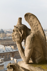 Fototapeta na wymiar Notre Dame Cathedral, Paris
