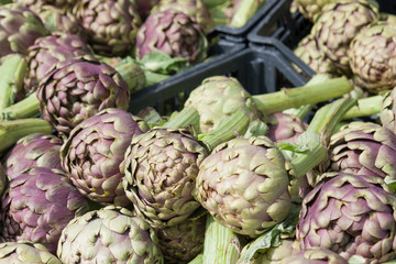 Obraz premium Pile of green and purple Italian Artichokes at the farmers marke