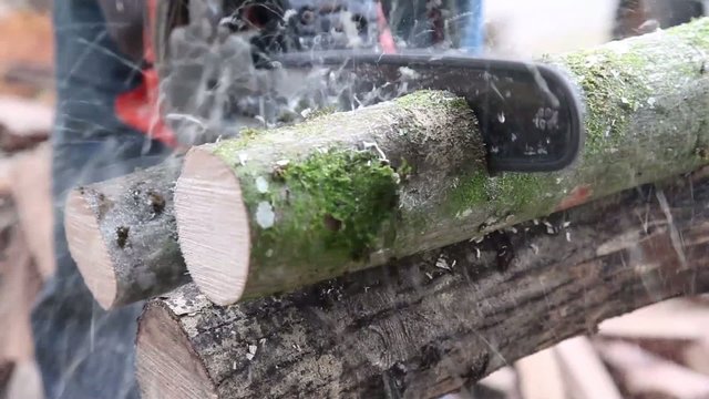 Man sawing firewood with chainsaw