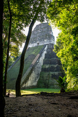 Mayan ruins at Tikal, National Park. Traveling guatemala, centra
