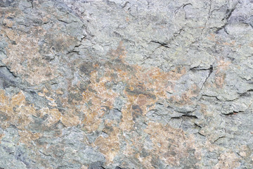 Amphibolite metamorphic rock texture background