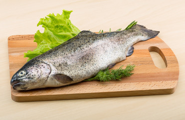 Raw fresh trout