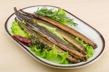 Lamprey