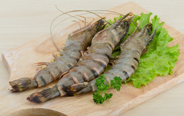 Raw tiger shrimps